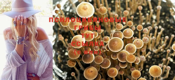 а пвп мука Протвино