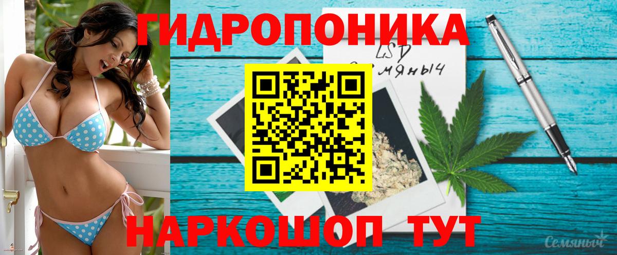 Канабис OG Kush  Солнечногорск  Бошки марихуана план  МАРИХУАНА Ganja  Марихуана LSD WEED 